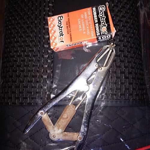 Elastrator pinza per anelli - elastrator,